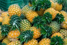 Ananas