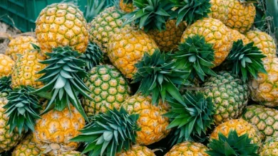 Ananas